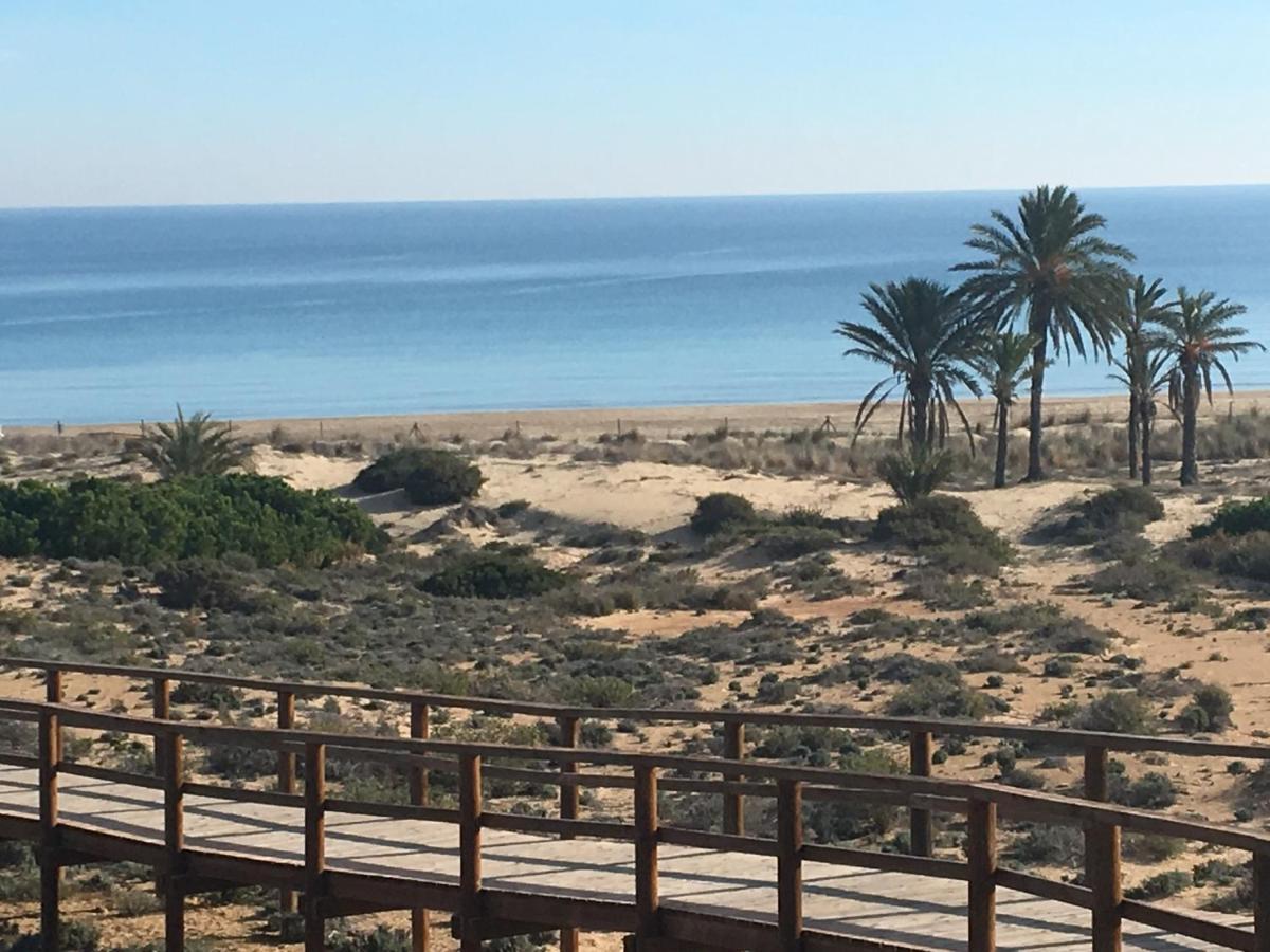 Luxury Appartement Alicante Los Arenales Del Sol, Near Beach, Large Solarium, Full Equipement Eksteriør bilde